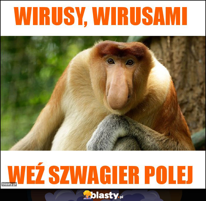 Wirusy, wirusami