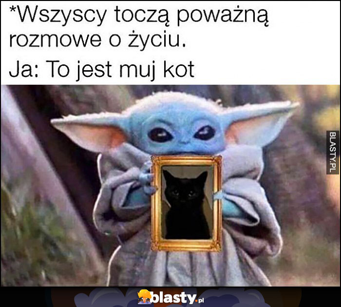 Wszyscy toczą poważną rozmowę o życiu, ja: to jest mój kot baby yoda