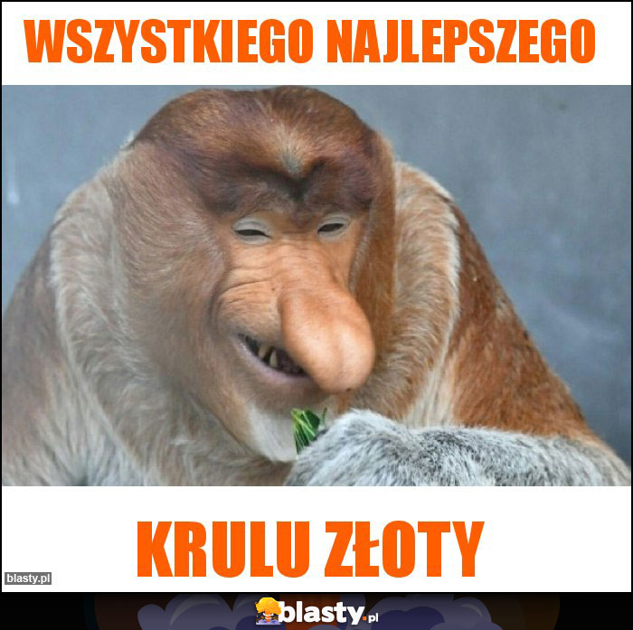 Wszystkiego najlepszego