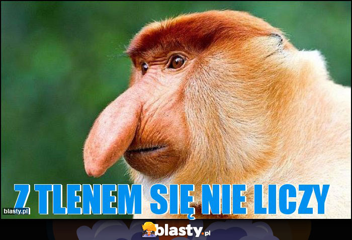 Z TLENEM SIĘ NIE LICZY