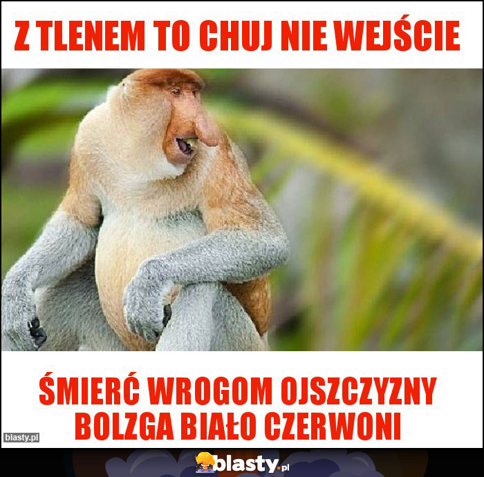 Z tlenem to chuj nie wejście