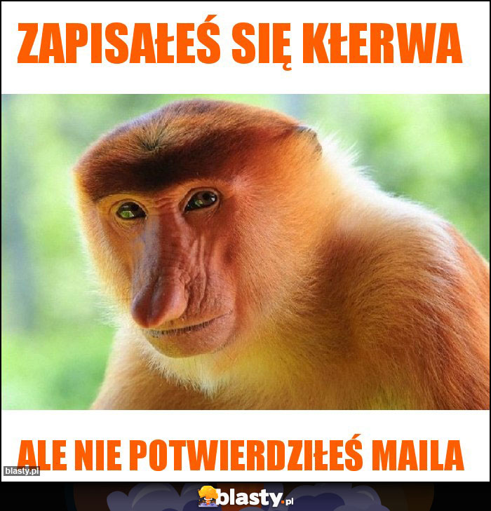 ZAPISAŁEŚ SIĘ KŁERWA