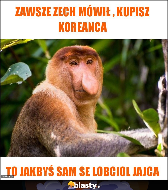 Zawsze zech mówił , kupisz koreanca