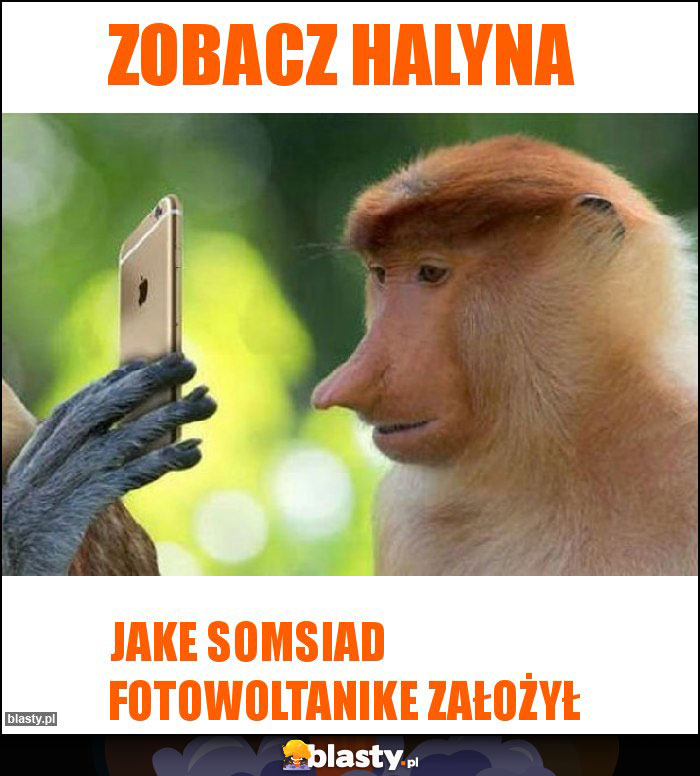 Zobacz Halyna