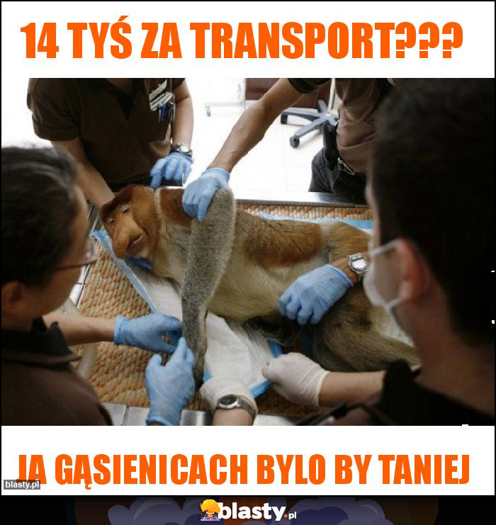 14 tyś za transport???