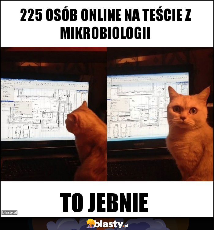 225 OSÓB ONLINE NA TEŚCIE Z MIKROBIOLOGII