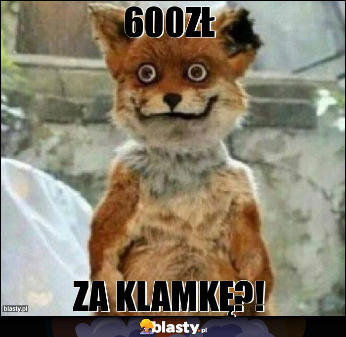 600zł