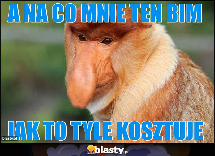 A NA CO MNIE TEN BIM