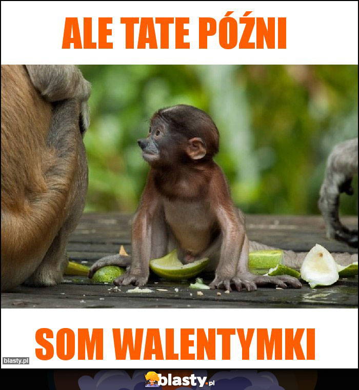 Ale tate późni