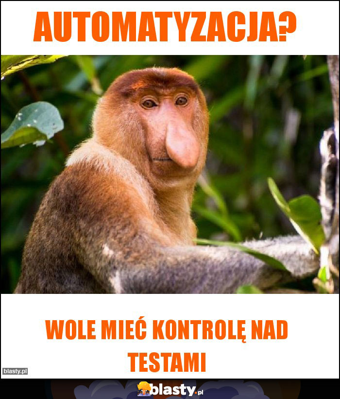 AUTOMATYZACJA?