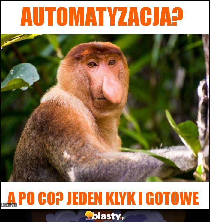 AUTOMATYZACJA?