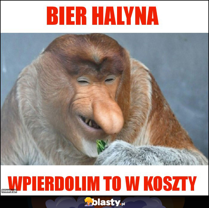 bier halyna