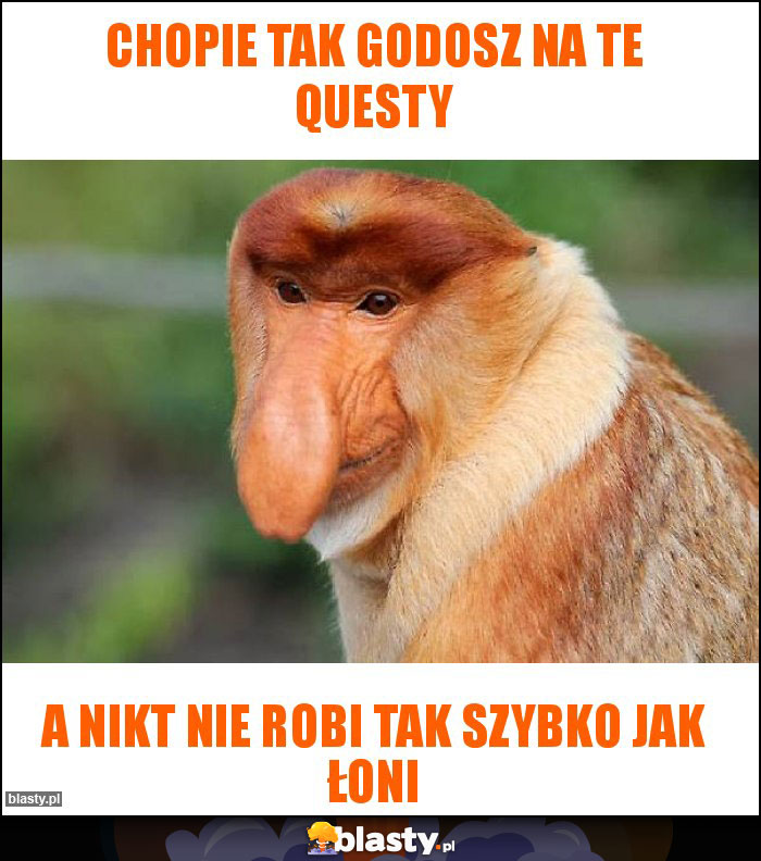 Chopie tak godosz na te Questy