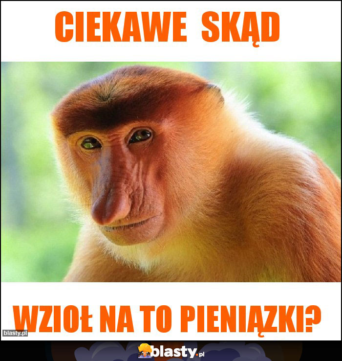 Ciekawe  skąd