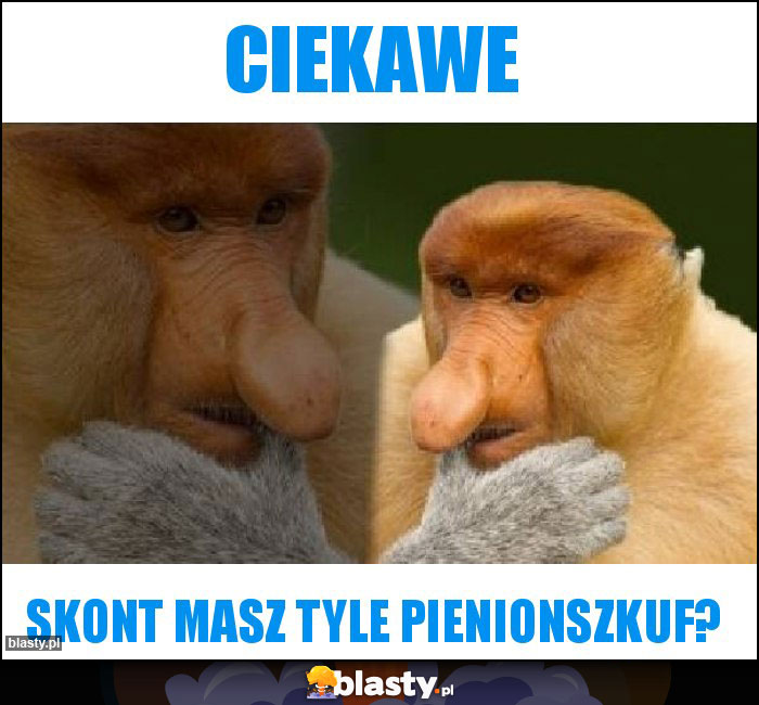 Ciekawe