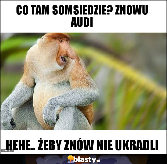 Co tam somsiedzie? Znowu audi