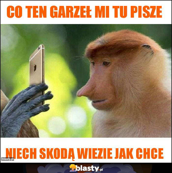 Co ten garzeł mi tu pisze