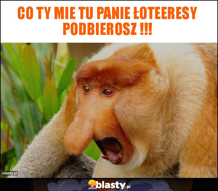 CO TY MIE TU PANIE ŁOTEERESY PODBIEROSZ !!!