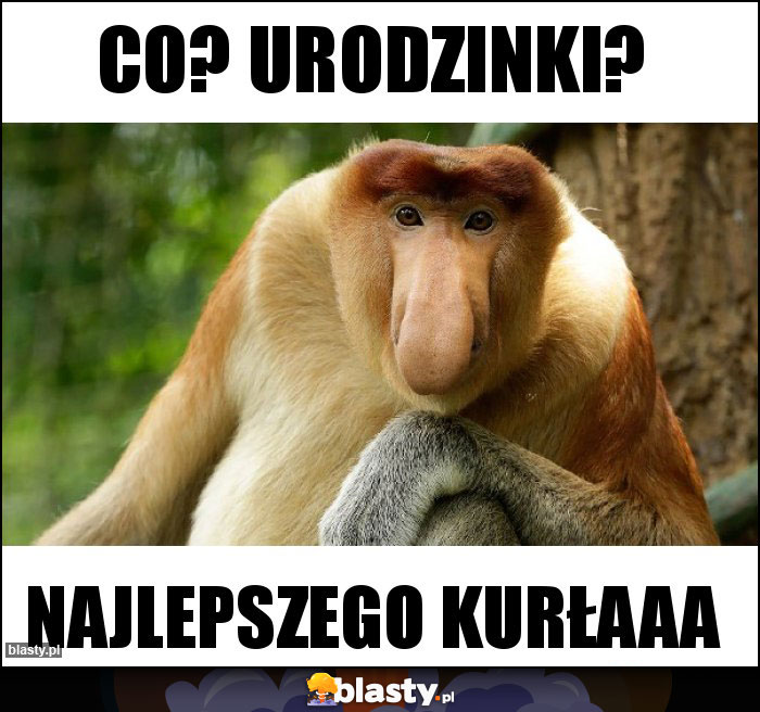 Co? Urodzinki?