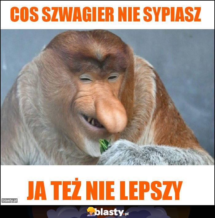 Cos szwagier nie sypiasz