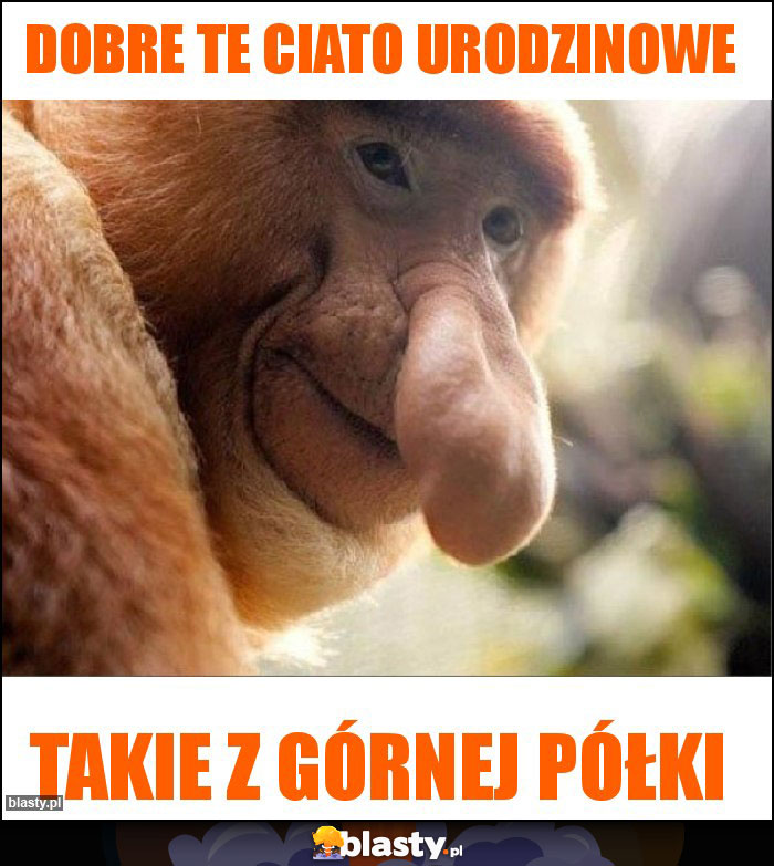 Dobre te ciato urodzinowe