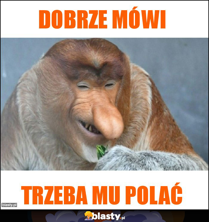 DOBRZE MÓWI