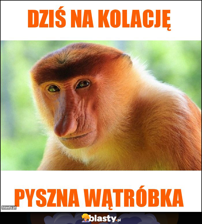 Dziś na kolację