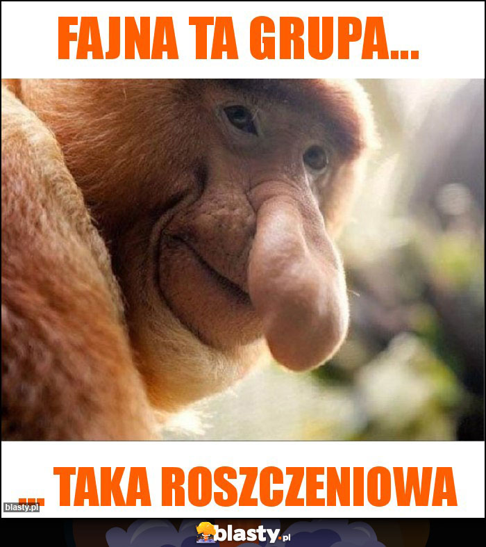 Fajna ta grupa...