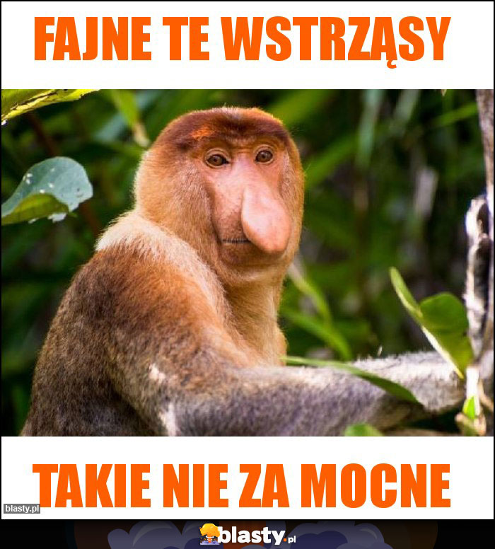 Fajne te wstrząsy