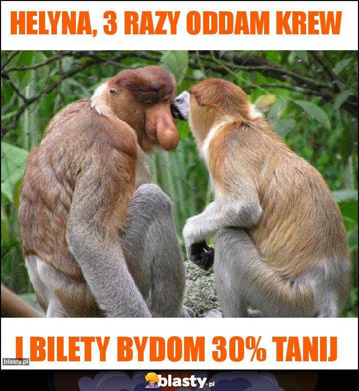 Helyna, 3 razy oddam krew