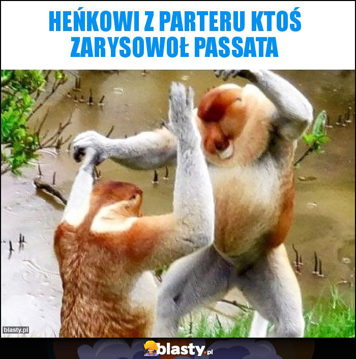 Heńkowi z parteru ktoś zarysowoł passata