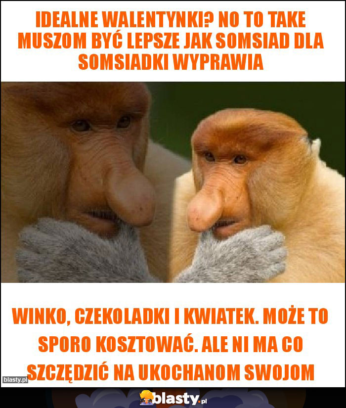 Idealne Walentynki? No to take muszom być lepsze jak somsiad dla somsiadki wyprawia