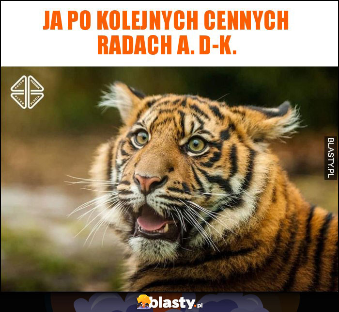 Ja po kolejnych cennych radach A. D-K.