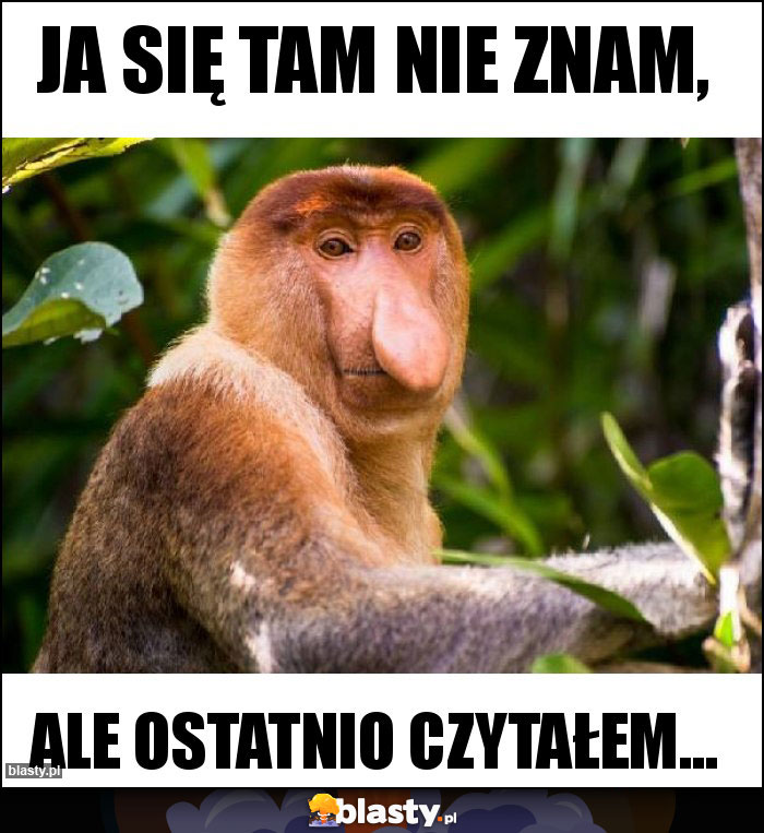 Ja się tam nie znam,