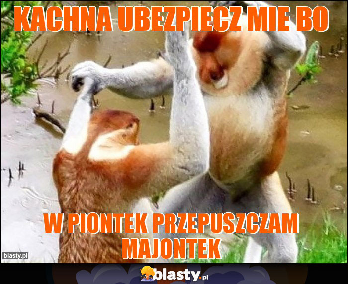 KACHNA UBEZPIECZ MIE BO