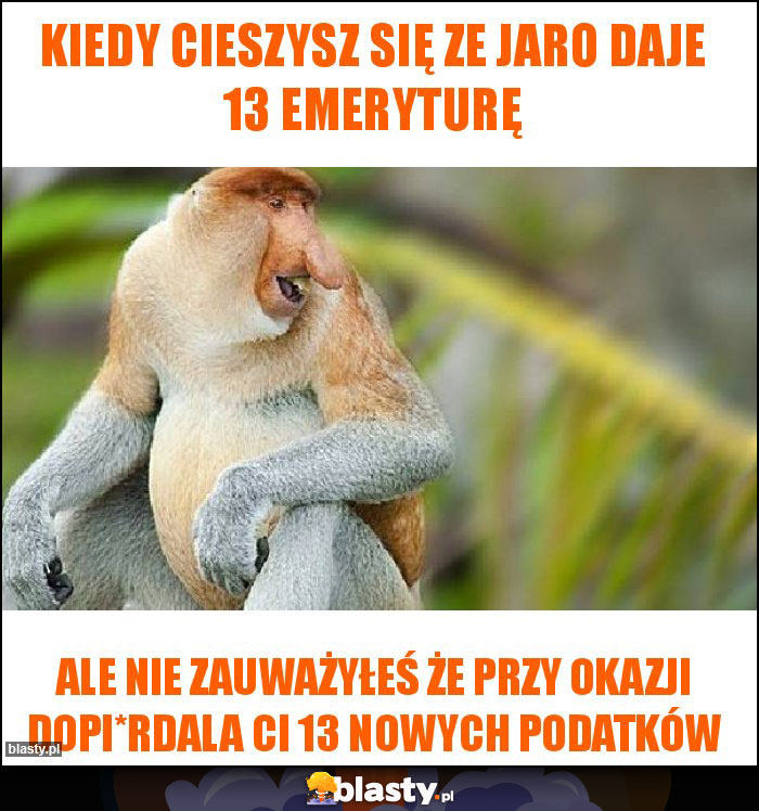 Kiedy cieszysz się ze jaro daje 13 emeryturę