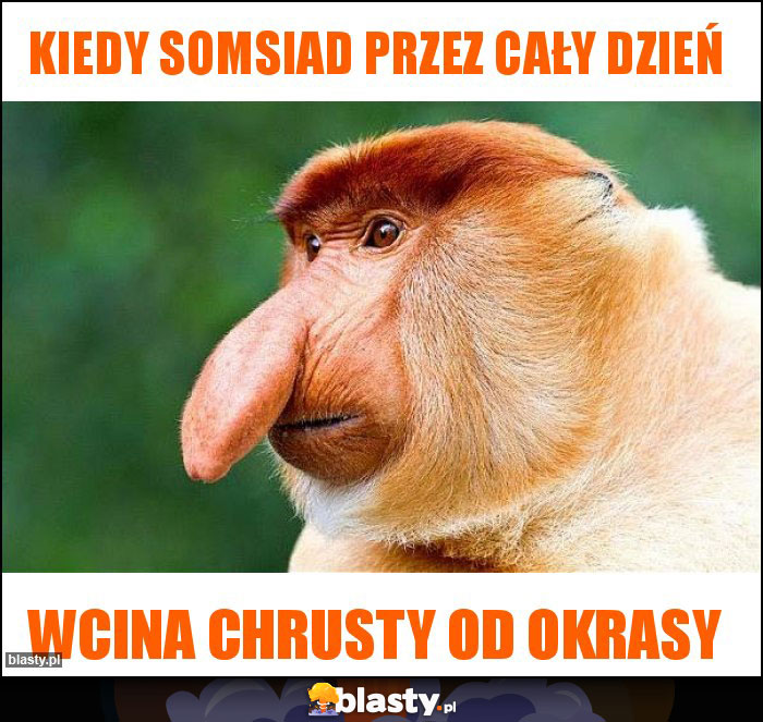 Kiedy somsiad przez cały dzień