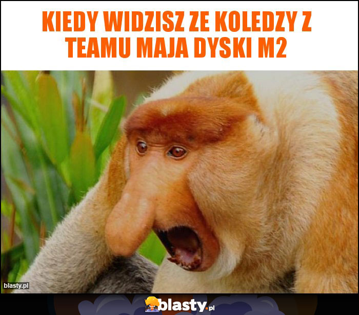 Kiedy widzisz ze koledzy z teamu maja dyski m2