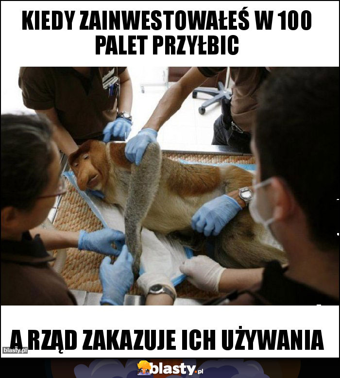 Kiedy zainwestowałeś w 100 palet przyłbic