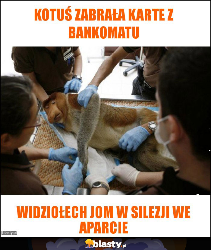 Kotuś zabrała karte z bankomatu