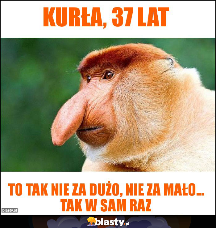 Kurła, 37 lat