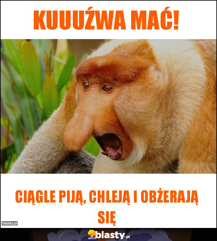 Kuuuźwa mać!