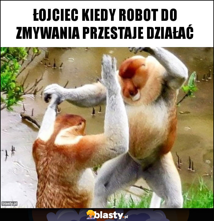 Łojciec kiedy robot do zmywania przestaje działać