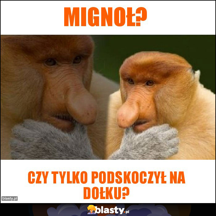 Mignoł?