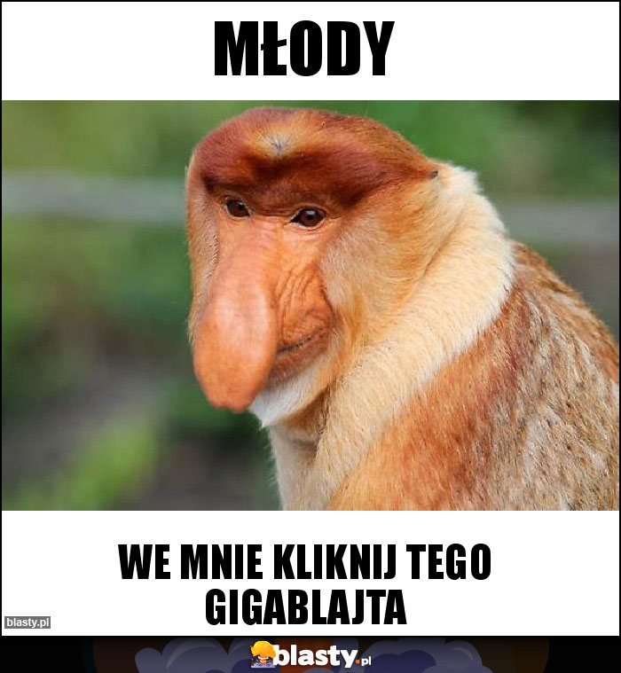 Młody