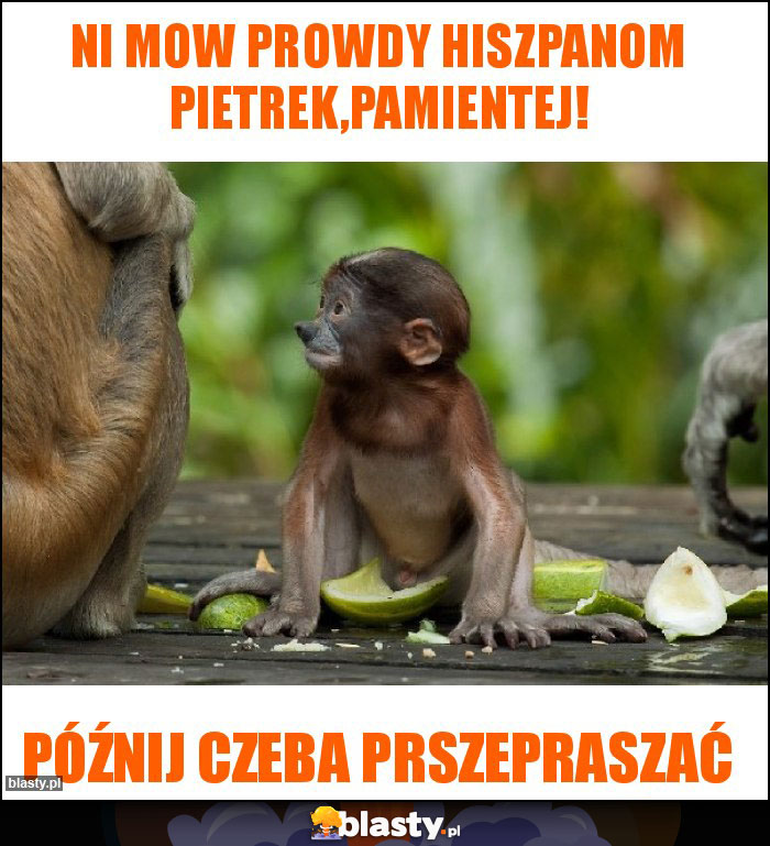 NI MOW PROWDY HISZPANOM PIETREK,PAMIENTEJ!