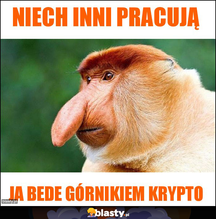 Niech inni pracują