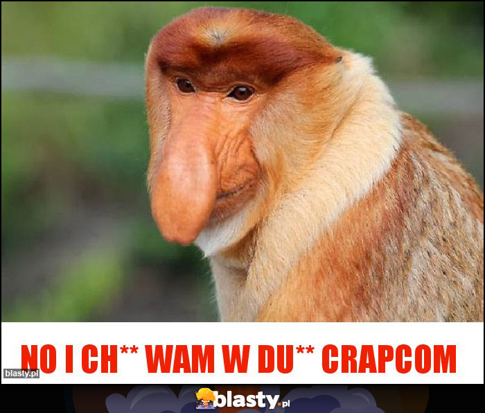 No i ch** wam w du** Crapcom