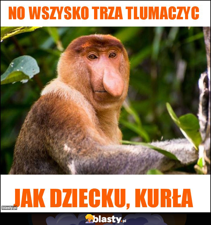 No wszysko trza tlumaczyc