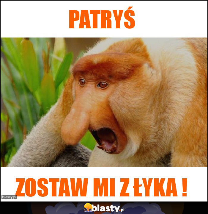 Patryś